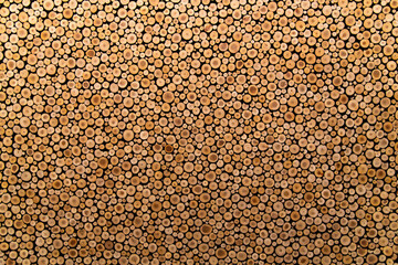 board composed of tree-branches in the art museum