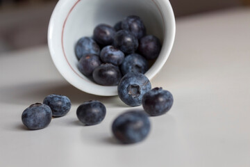 Fresh Blueberries perfect for healthy snack.