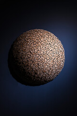 decoration composed of tree-branches on the wall in the art museum