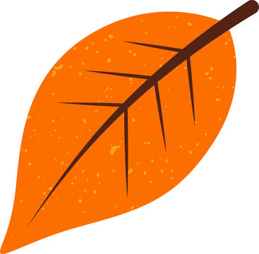 Fototapeta Orange leaf floating on transparent backdrop showing yellow speckles and brown veins in flat design