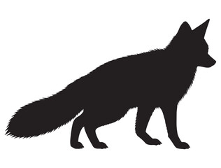 FOX SILHOUETTE 