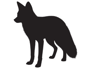 FOX SILHOUETTE 