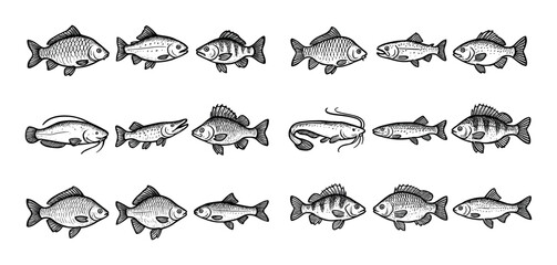 Freshwater Fish Icons Grid