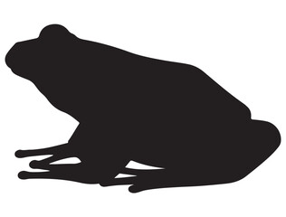 FROG SILHOUETTE