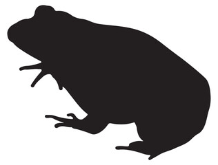 FROG SILHOUETTE