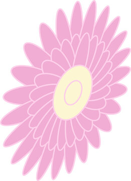 Fototapeta Pink daisy-like flower is blooming in flat design with petals radiating on transparent background