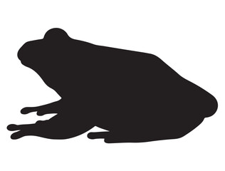 FROG SILHOUETTE