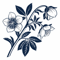 vector illustration of roses