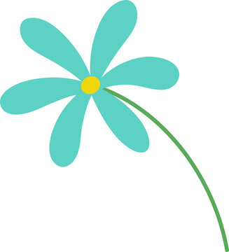 Fototapeta Daisy-like flower is blooming in flat-design with teal petals, yellow core on clear bg, copy space