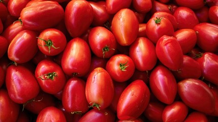 A Bountiful Harvest: Red Tomatoes
