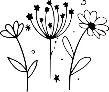 Fototapeta Stylized flowers are floating on transparent background, with long petals, starburst seeds, daisy