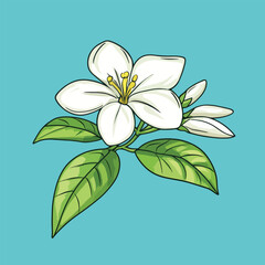 Vibrant White Blossom with Green Leaves and Buds