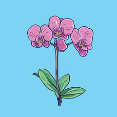 Cartoon Orchid with Pink Petals Yellow Centers and Green Leaves