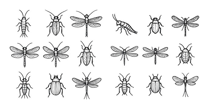 Prehistoric Insect Icons Grid