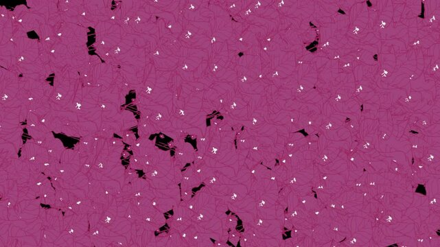 Bougainvilleas pink flowers on the transparent background