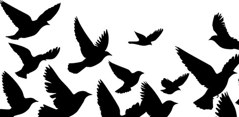Obraz premium Dynamic bird silhouettes in flight against high contrast border design