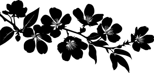 Fototapeta premium Silhouette of cherry blossom branch and magnolia flowers for elegant floral design