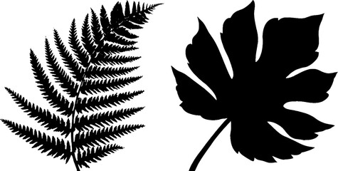 Tropical nature elements: fern and palm frond silhouettes for creative design