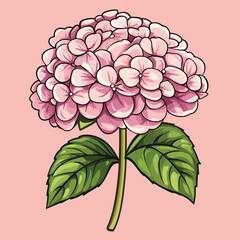 Delicate Pink Hydrangea Blossom with Lush Green Leaves