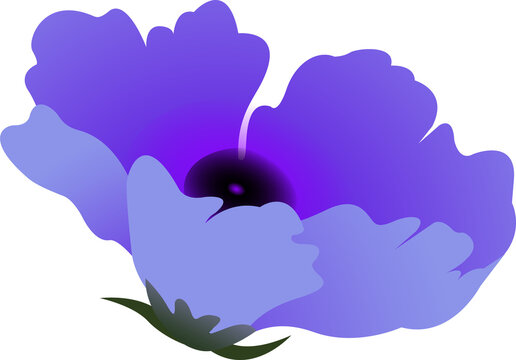 Fototapeta Purple flower vector art is showing gradient petals and dark center on transparent background