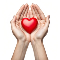 Obraz premium Sketch Hands Holding a Red Heart Symbol on White Background 