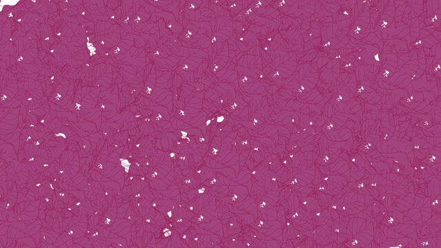 Bougainvilleas pink flowers on the transparent background