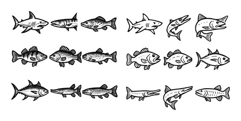 Fototapeta premium Predatory Fish Icons
