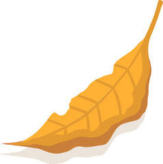 Vector autumn leaf is slanting and showing veins and shadow on transparent background