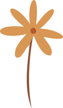 Fototapeta Flat vector flower is showing eight golden-orange petals on slim brown stem, transparent background