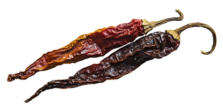 Two dried chili peppers, ancho and pasilla, on a black background Concept of spicy cuisine, traditional mexican food, and culinary ingredients