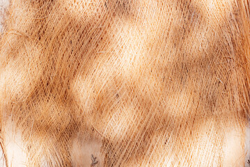 Top view of light palm bark texture dry decor with sunlight bokeh shadow overlay pattern. Summer beach aesthetic wallpaper in boho style design for sustainable fashion and beauty mockup template
