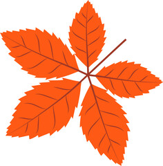 Compound leaf showing six serrated orange leaflets, petiole in flat design, transparent background