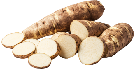 Freshly sliced Nagaimo yam root vegetable, showcasing its natural texture and healthy food concept on a dark background