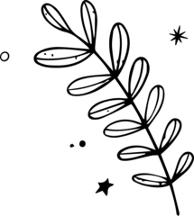 Fotobehang Hand-drawn leafy twig is being shown in single-color line-art, with shapes, transparent backdrop © vectorfusionart