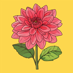 Vibrant Pink Dahlia with Lush Green Leaves on Yellow