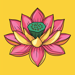 Vibrant Pink and Yellow Lotus Blossom Illustration