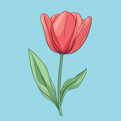 Vibrant Red Tulip with Green Leaves and Detailed Outlines on Blue (1)
