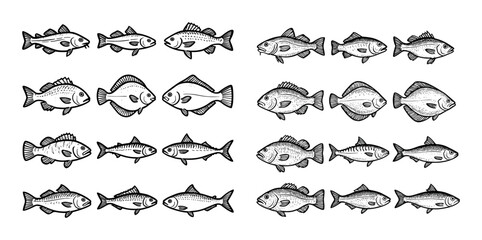 Saltwater Fish Icons