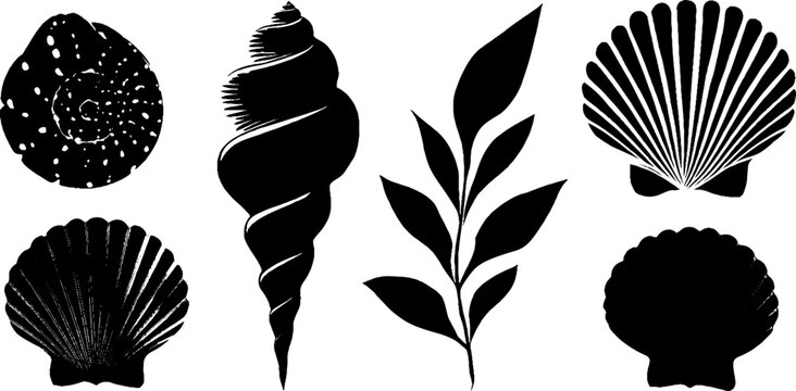 Nautical elements design featuring spiral shells and leaf patterns for crafting and decor