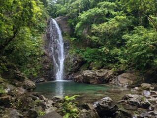 Naklejka premium Lush green foliage surrounds a tall, slender waterfall cascading into a tranquil, clear pool; dark rocks border the pool