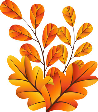 Fototapeta Stylized autumn leaves are clustering on brown stems in flat design, transparent background