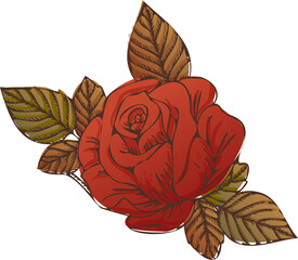 Red rose vector is being shown on transparent backdrop, with layered petals and stylized leaves