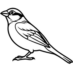 Sparrow Shape line art vector