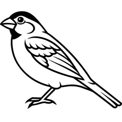Sparrow Shape line art vector