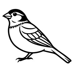 Sparrow Shape line art vector