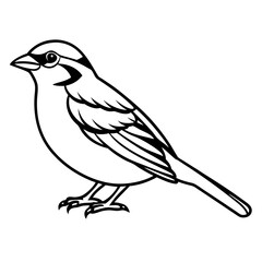 Sparrow Shape line art vector