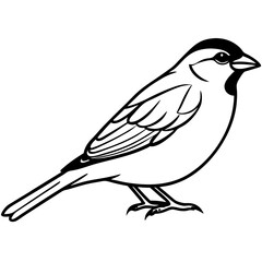 Sparrow Shape line art vector