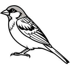 Sparrow Shape line art vector