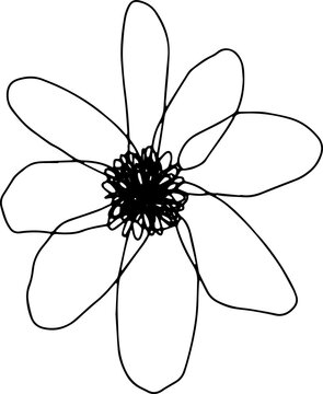 Fototapeta Stylized flower is being shown in black line sketch with scribbled center on transparent background