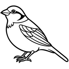 Sparrow Shape line art vector